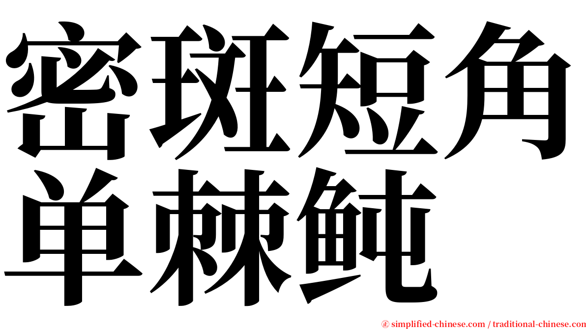 密斑短角单棘鲀 serif font