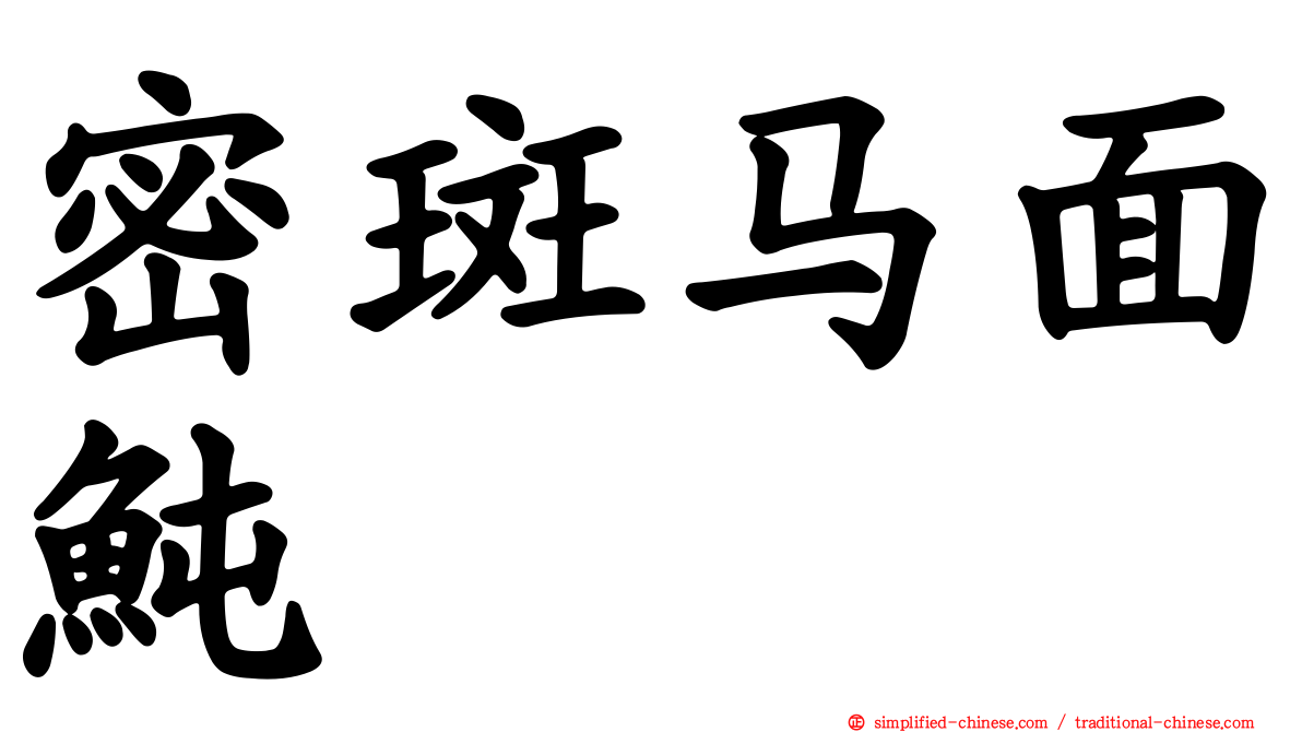 密斑马面鲀