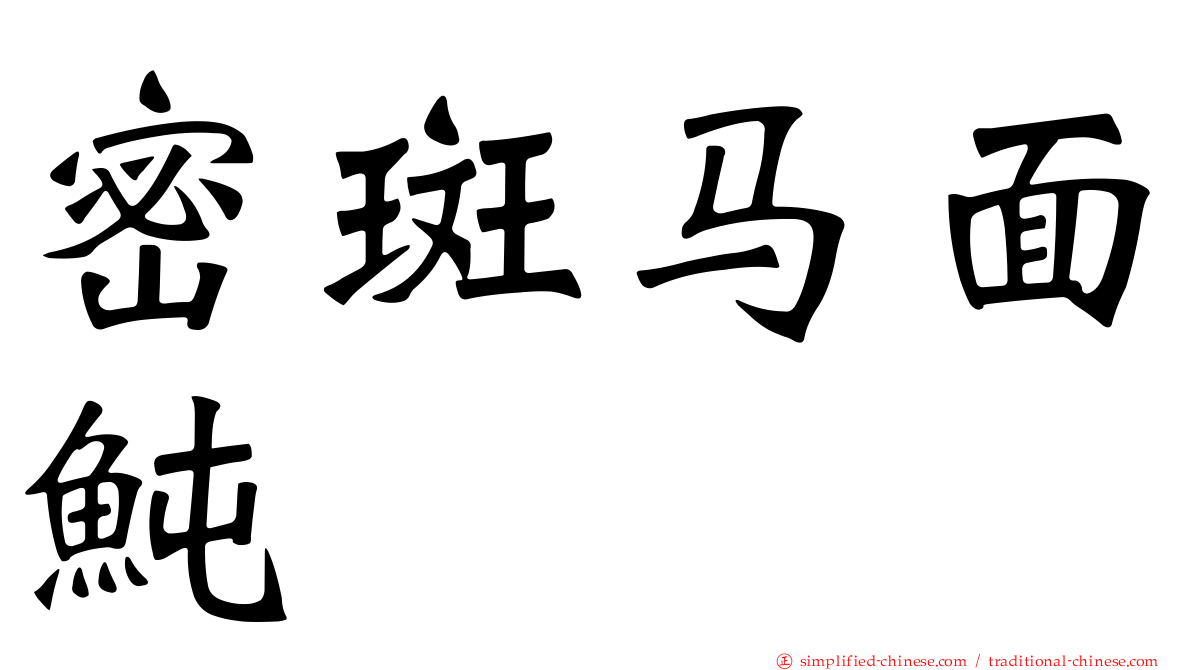 密斑马面鲀