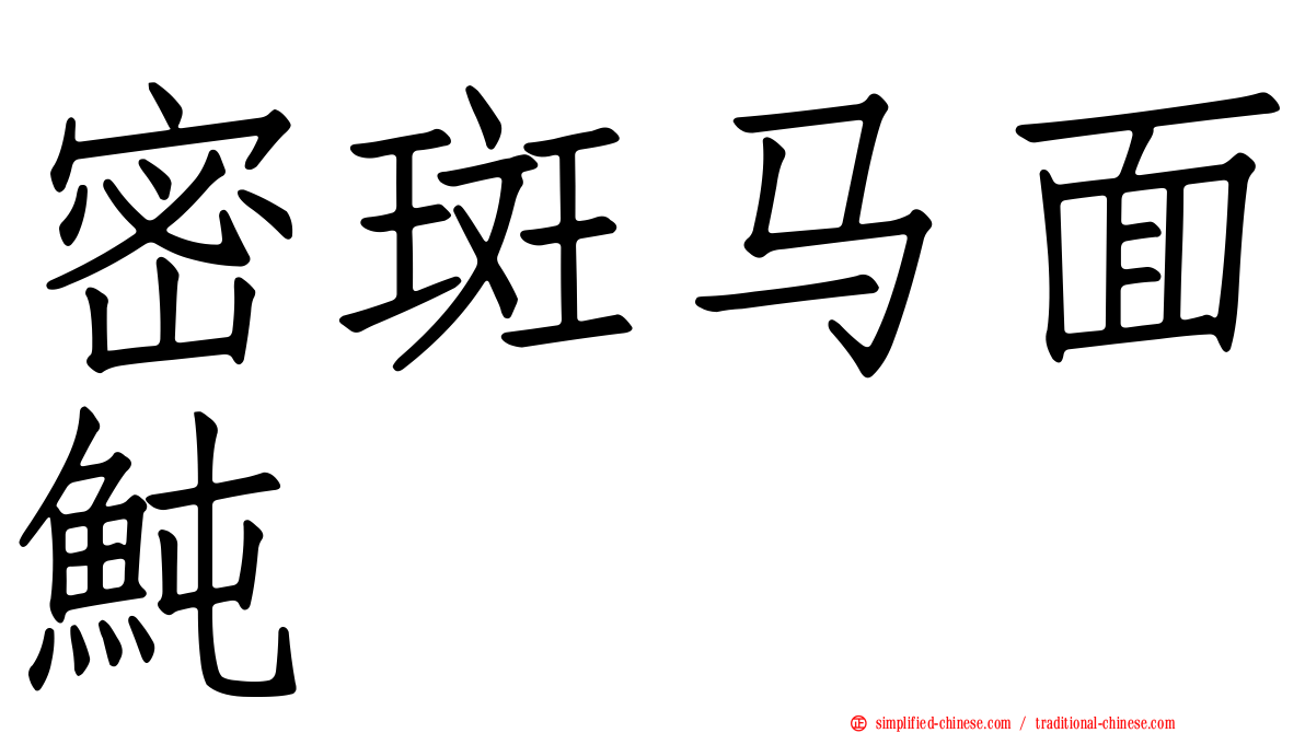 密斑马面鲀