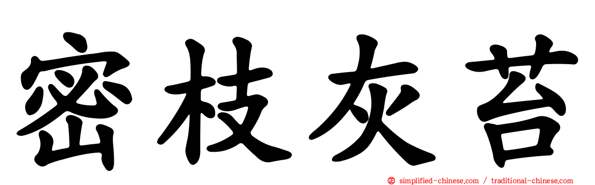 密枝灰苔