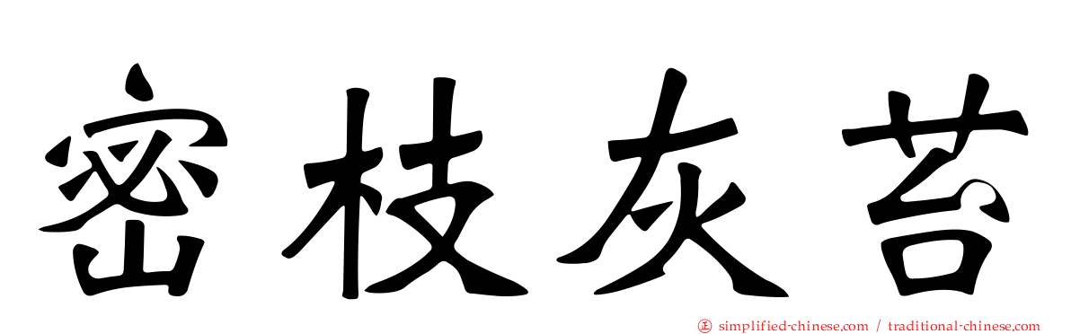 密枝灰苔