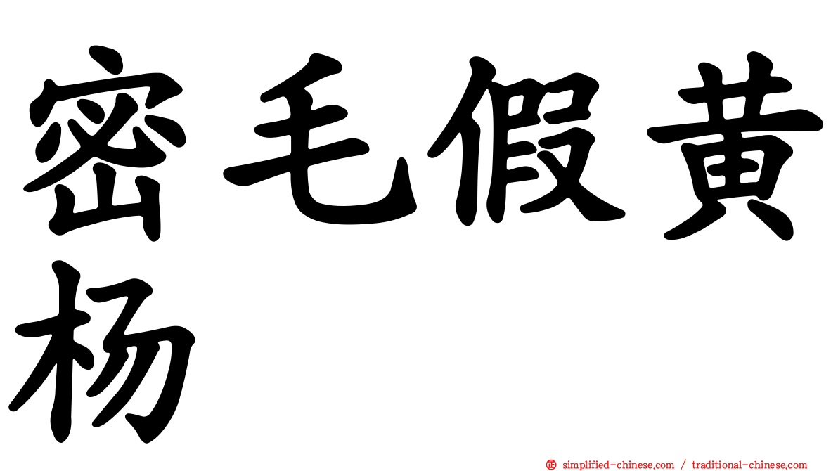 密毛假黄杨