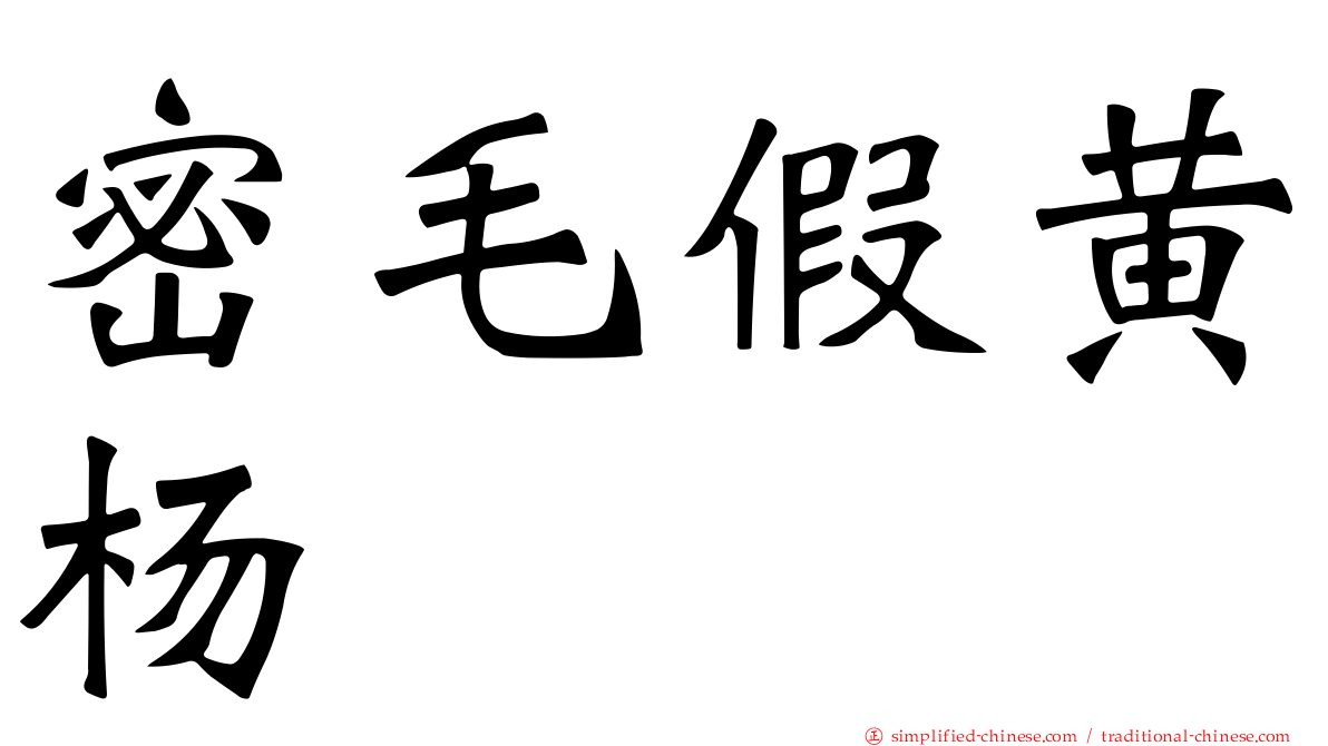 密毛假黄杨