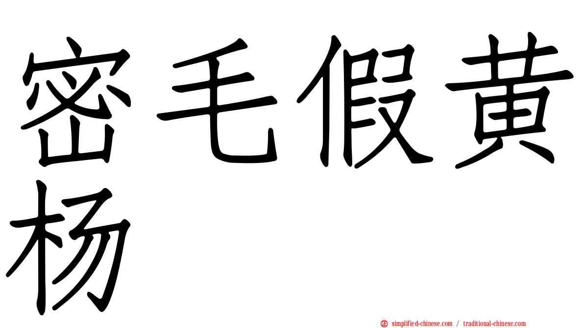 密毛假黄杨