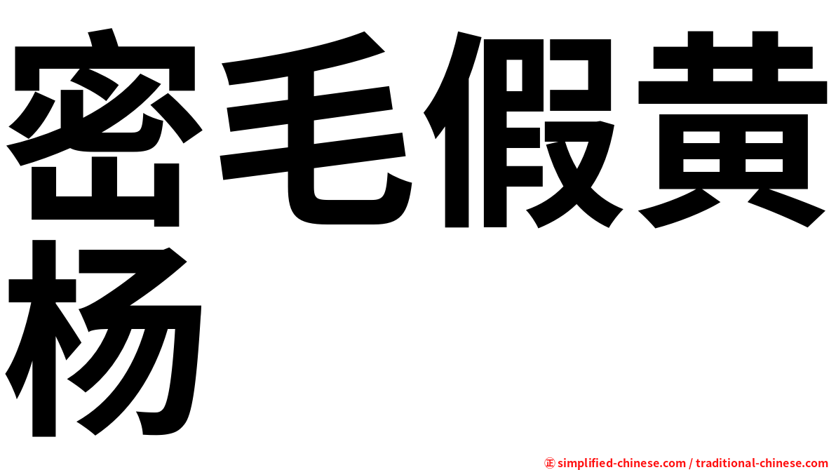 密毛假黄杨