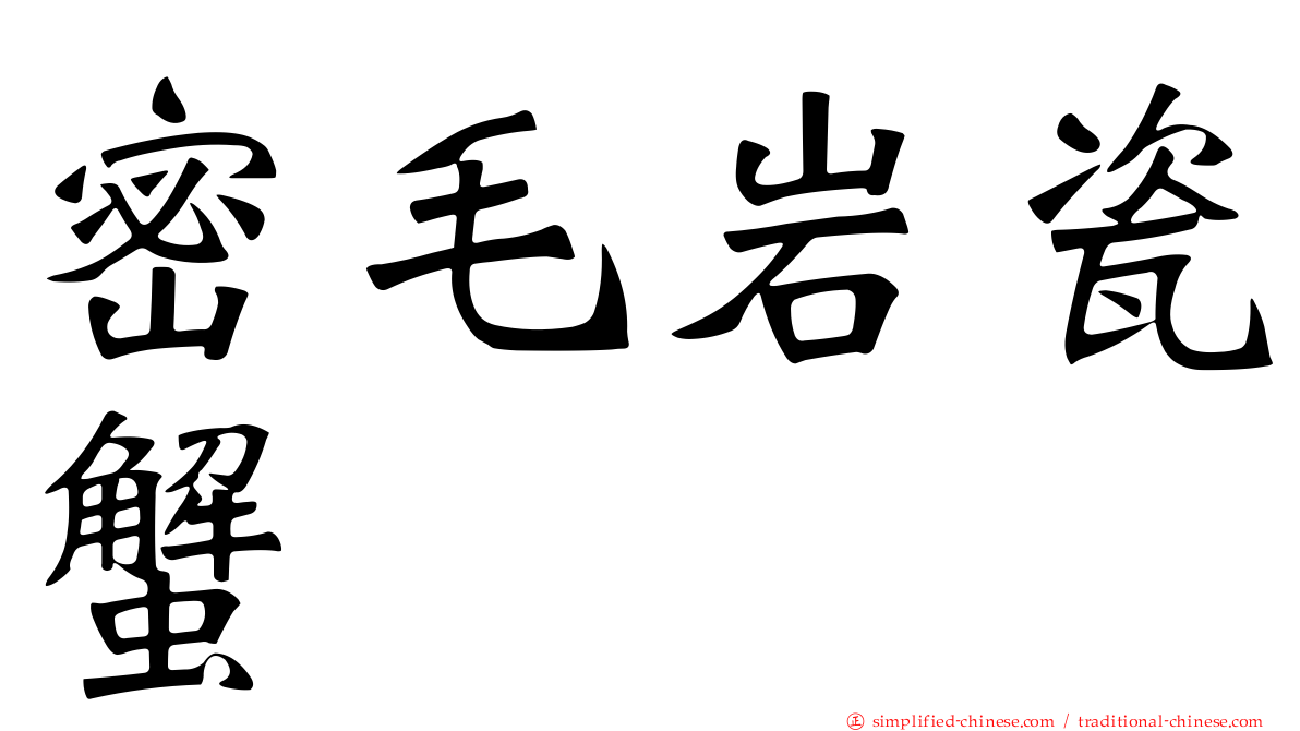 密毛岩瓷蟹