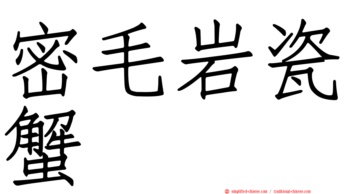 密毛岩瓷蟹