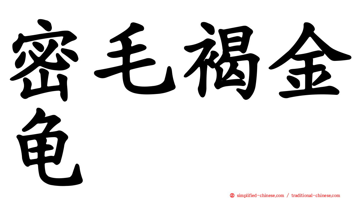 密毛褐金龟