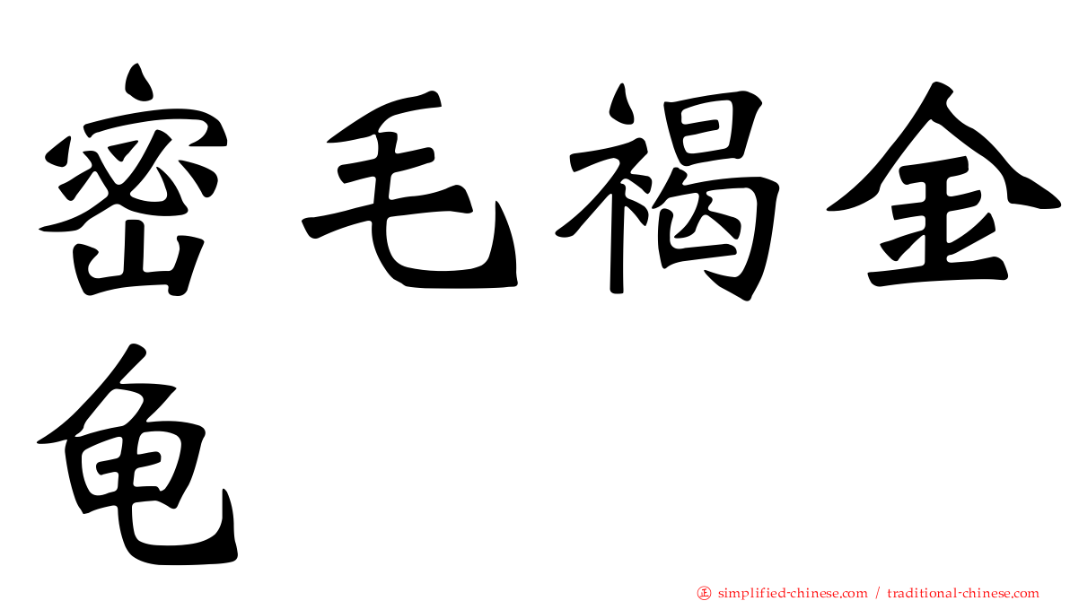 密毛褐金龟