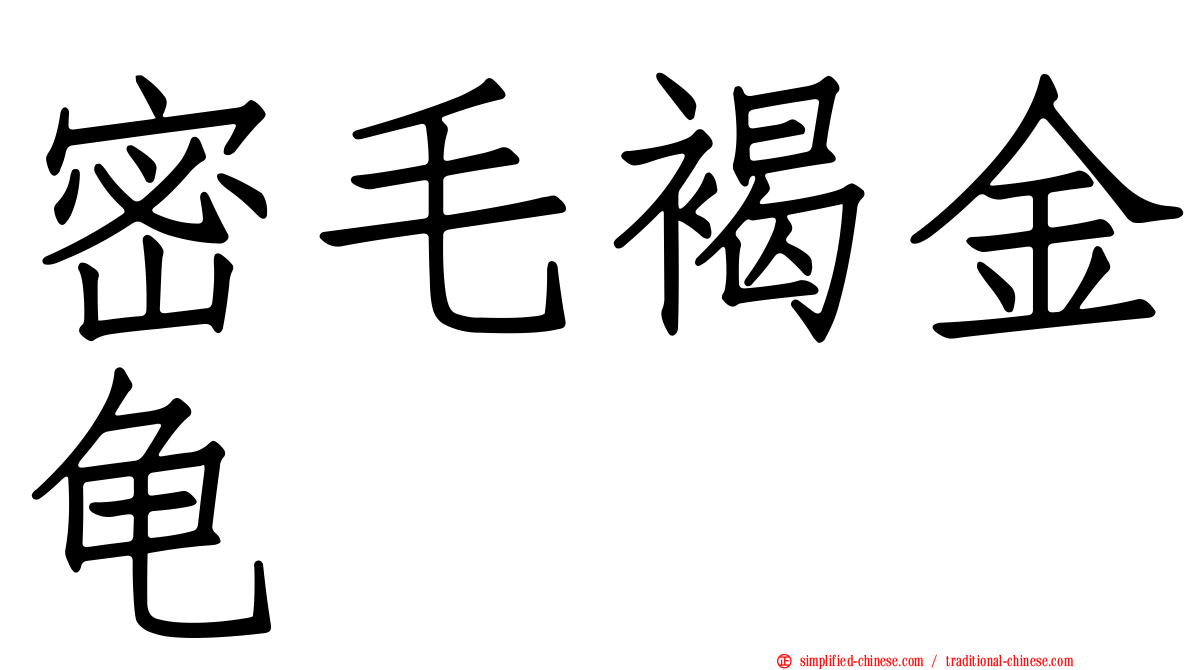 密毛褐金龟