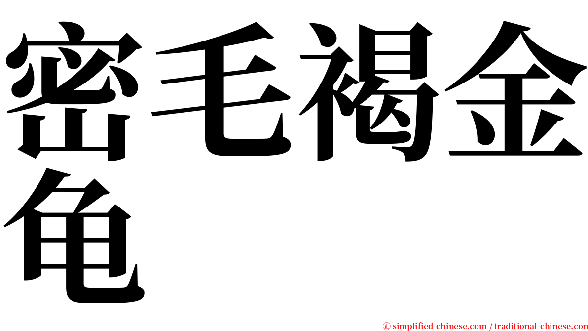 密毛褐金龟 serif font