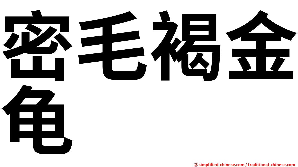 密毛褐金龟