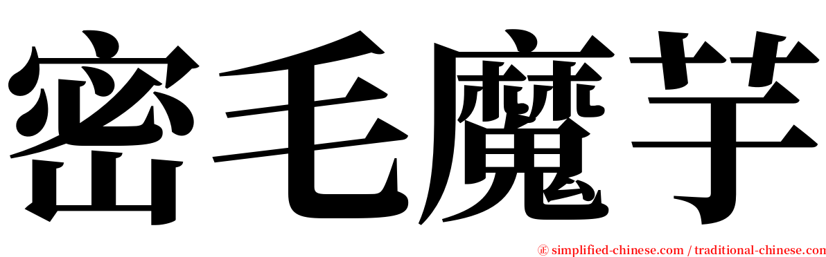 密毛魔芋 serif font
