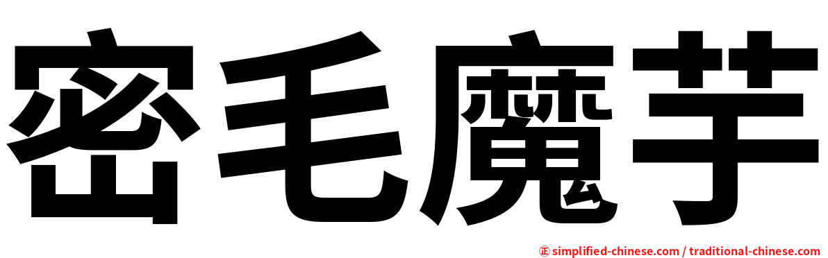 密毛魔芋