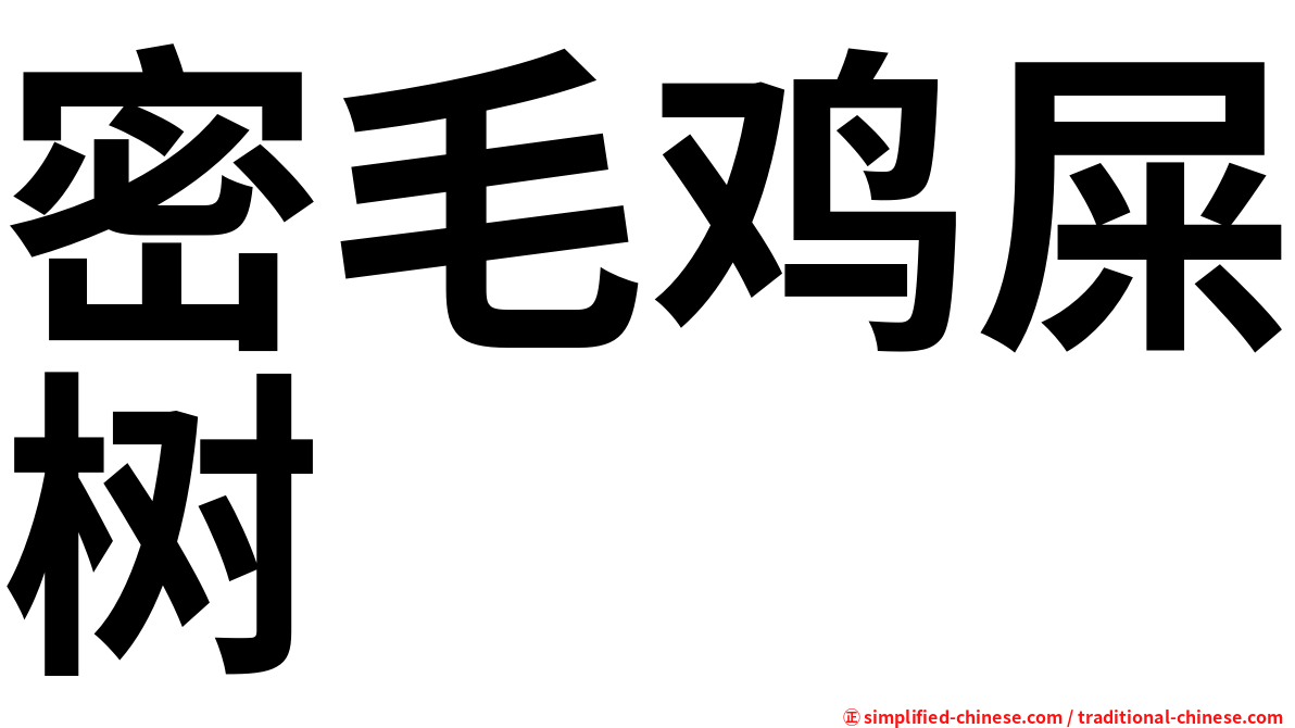 密毛鸡屎树