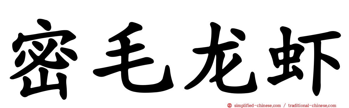 密毛龙虾