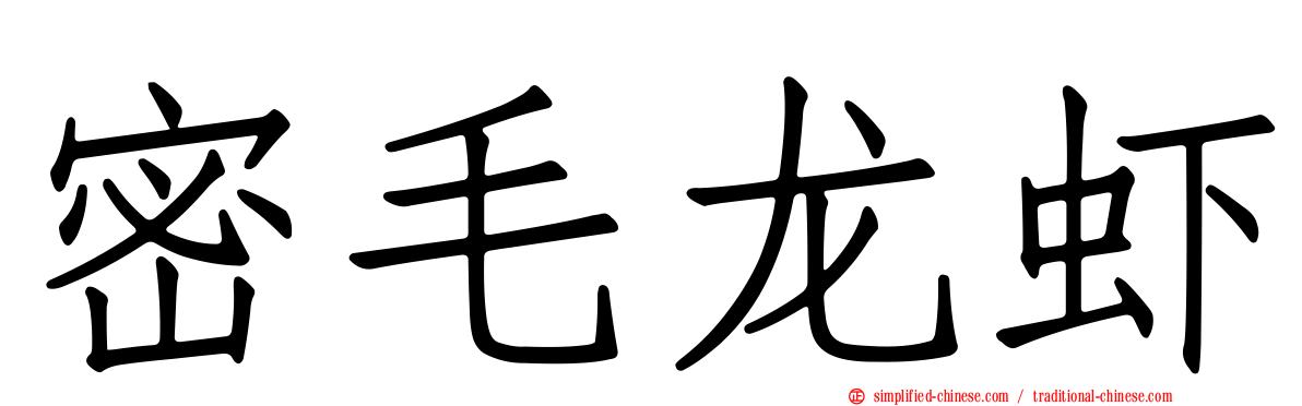 密毛龙虾