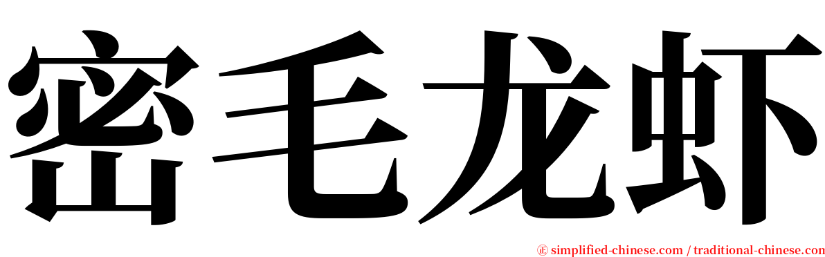 密毛龙虾 serif font