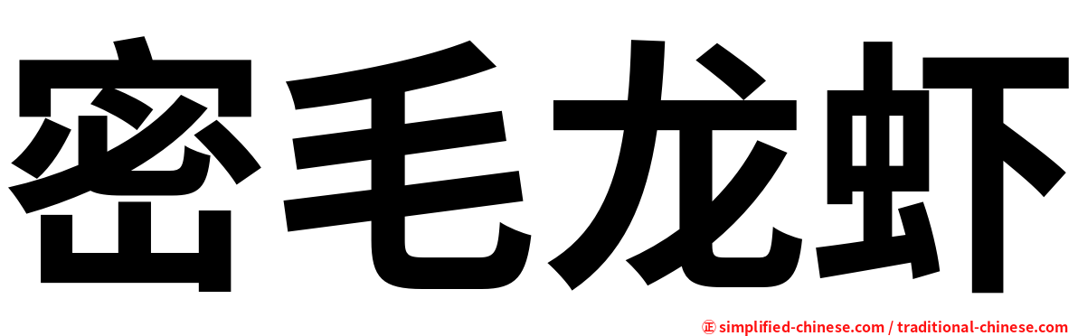 密毛龙虾