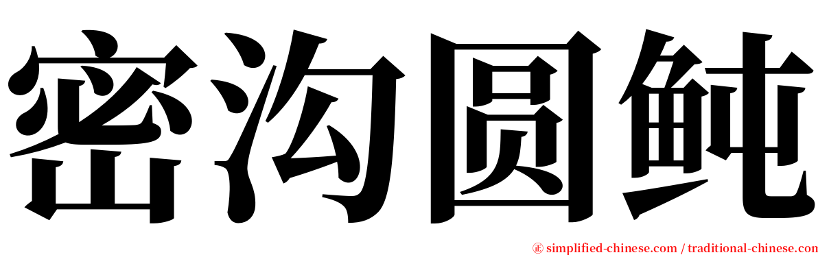 密沟圆鲀 serif font