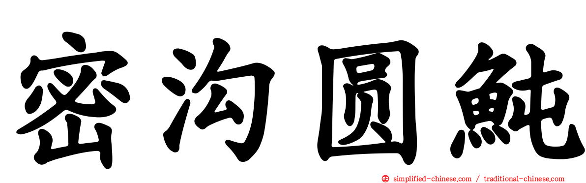 密沟圆鲀