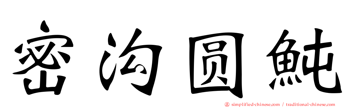 密沟圆鲀