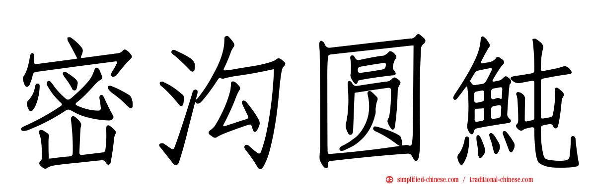 密沟圆鲀
