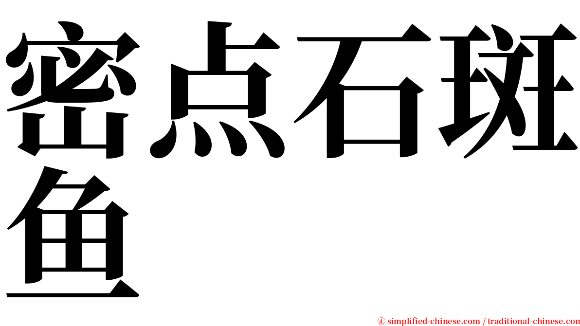 密点石斑鱼 serif font
