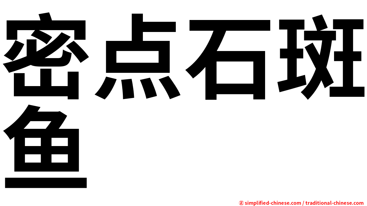 密点石斑鱼