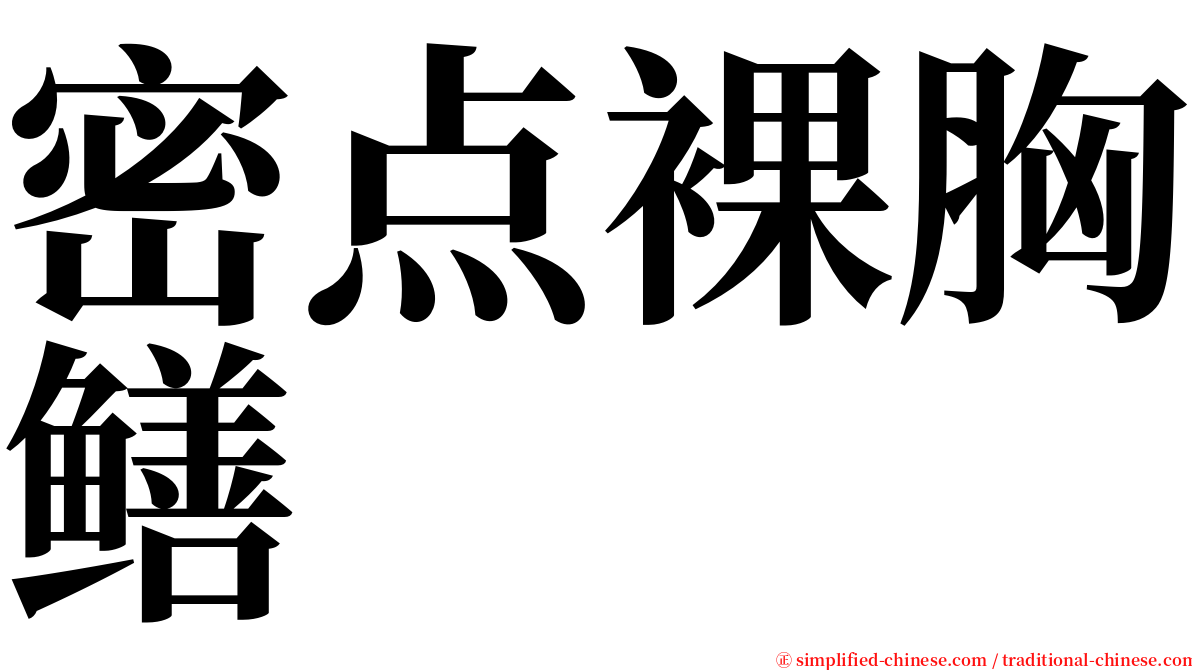 密点裸胸鳝 serif font