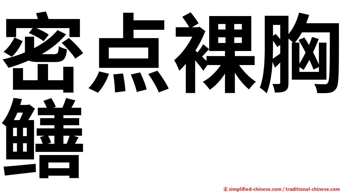 密点裸胸鳝