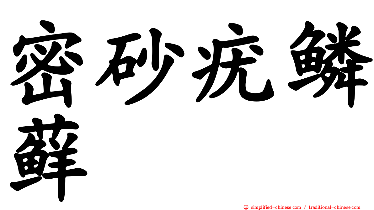 密砂疣鳞藓