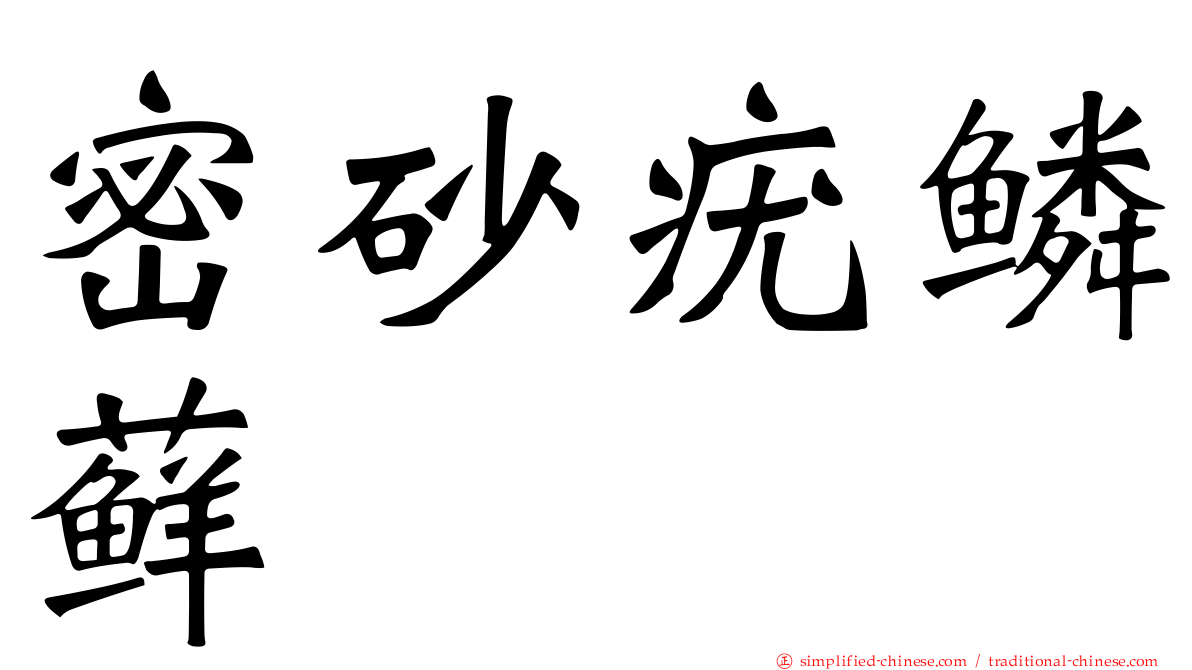 密砂疣鳞藓