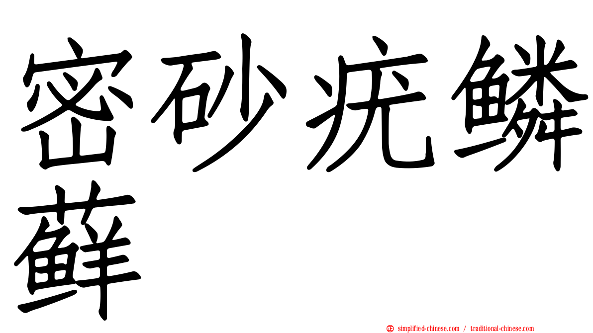 密砂疣鳞藓