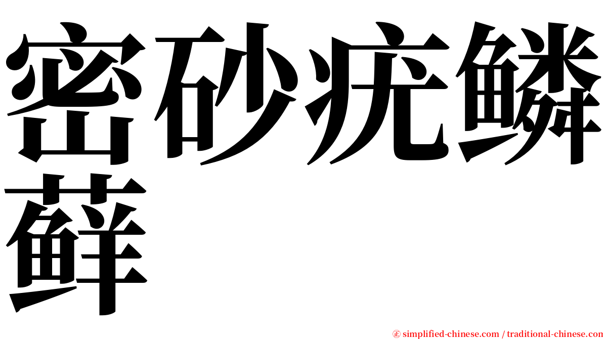 密砂疣鳞藓 serif font