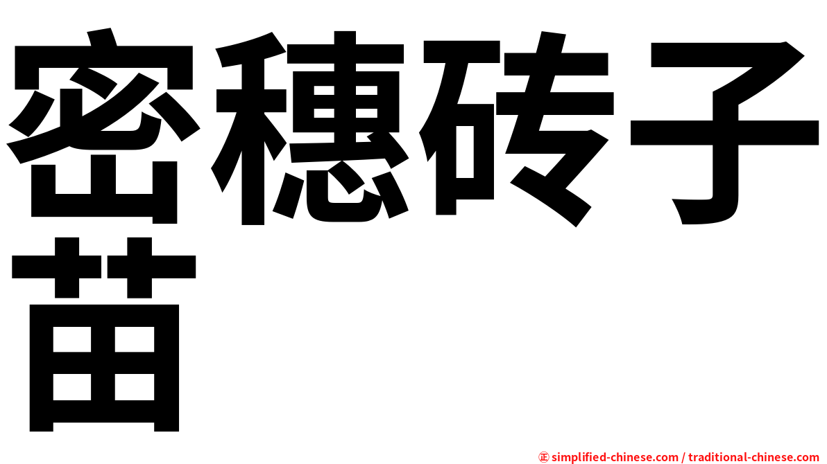 密穗砖子苗