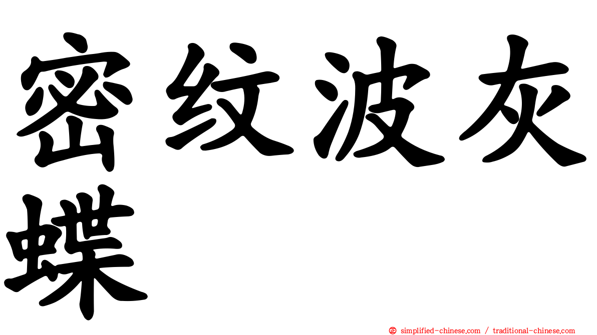 密纹波灰蝶