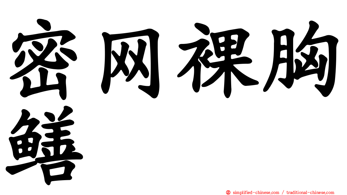 密网裸胸鳝