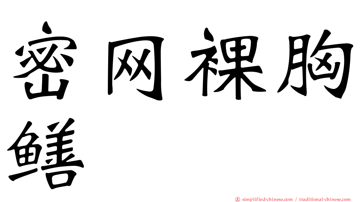 密网裸胸鳝