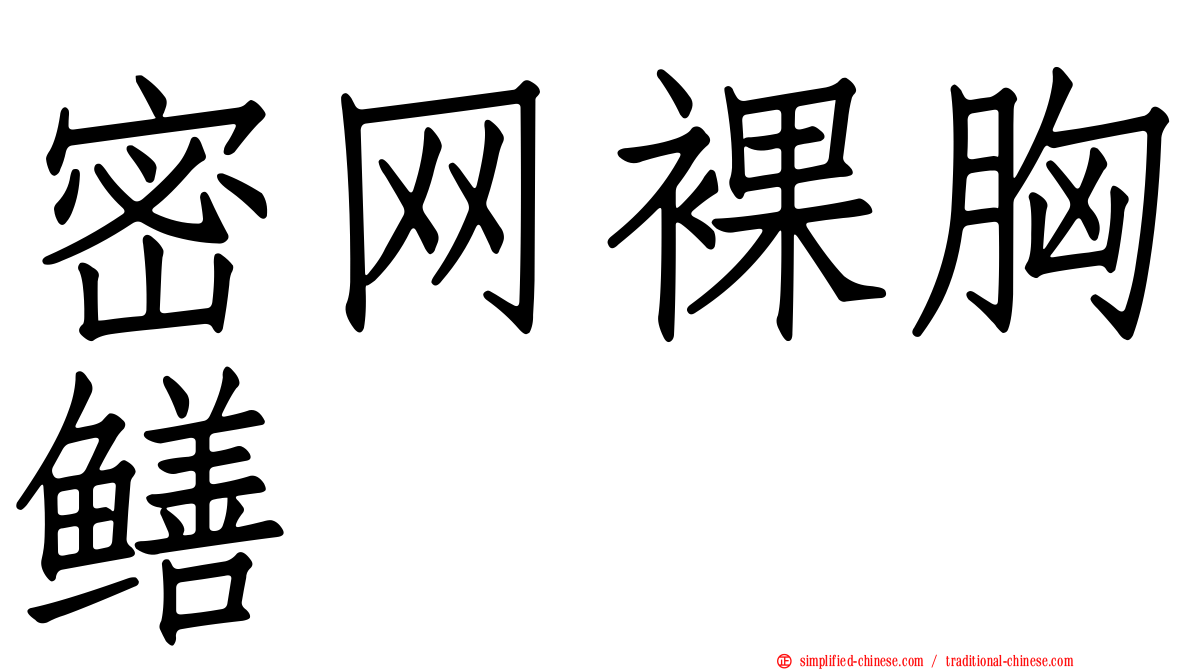 密网裸胸鳝
