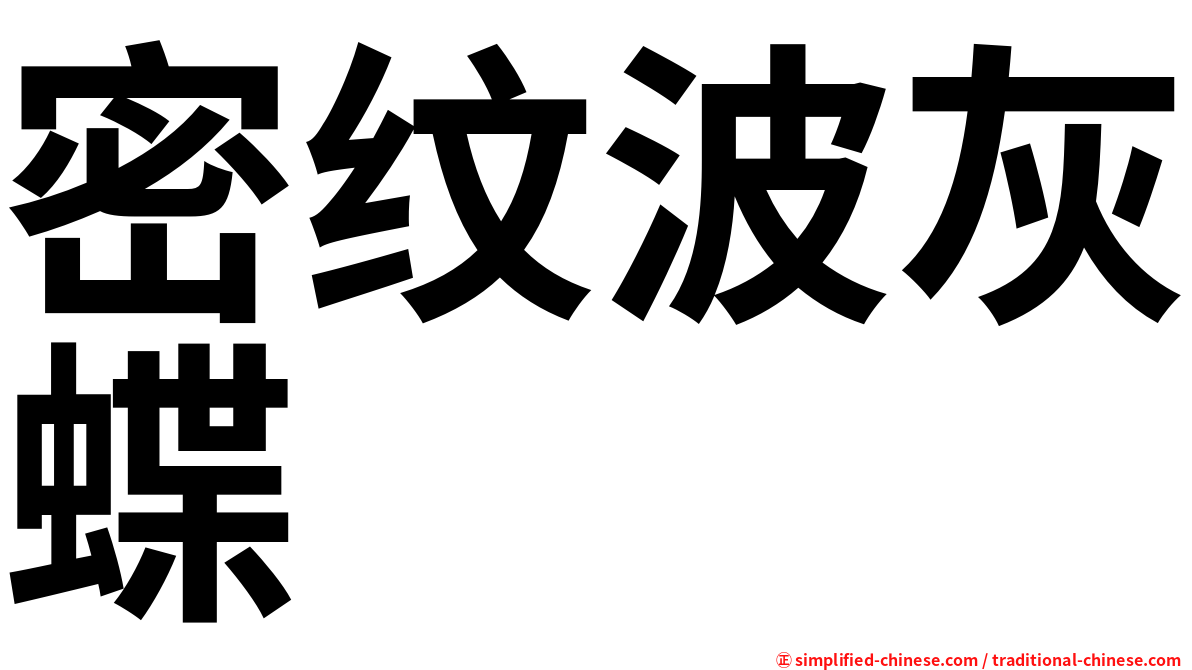 密纹波灰蝶