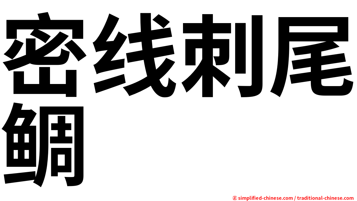 密线刺尾鲷
