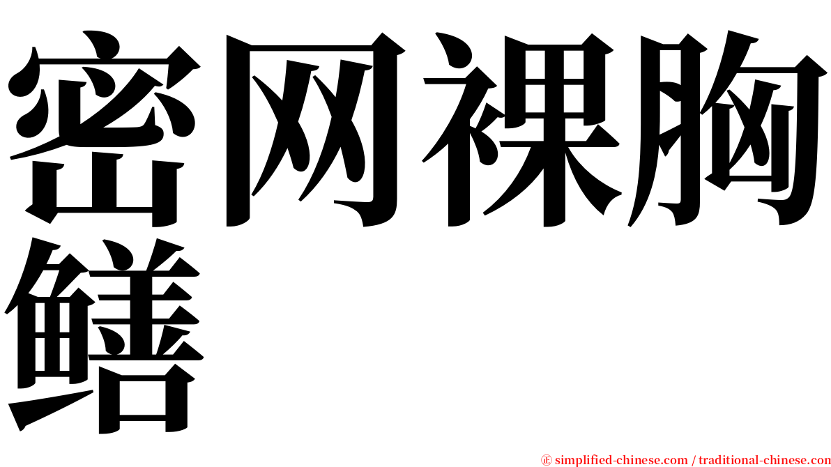 密网裸胸鳝 serif font
