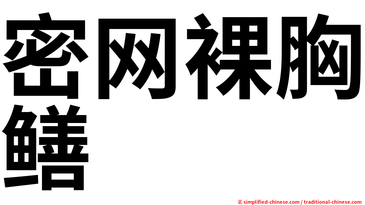 密网裸胸鳝