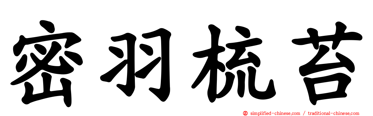 密羽梳苔
