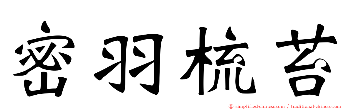 密羽梳苔