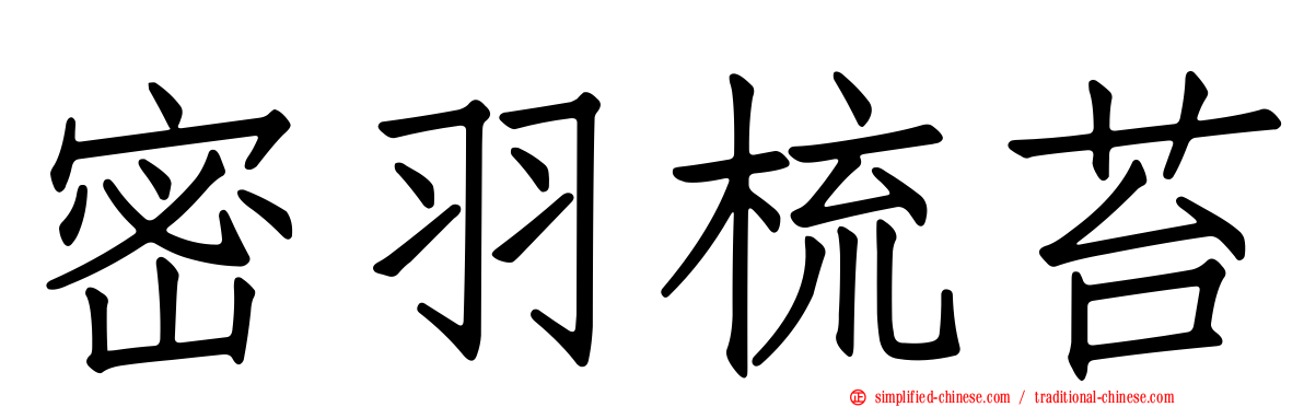 密羽梳苔