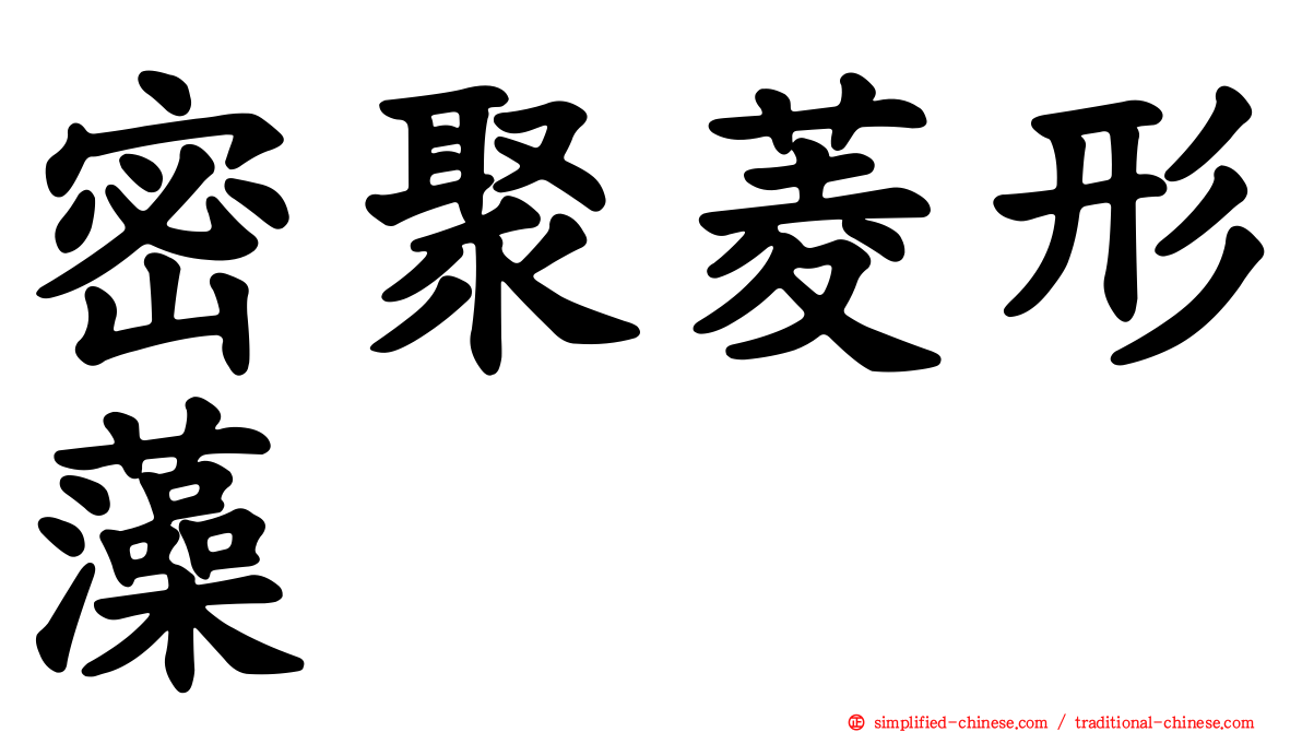 密聚菱形藻