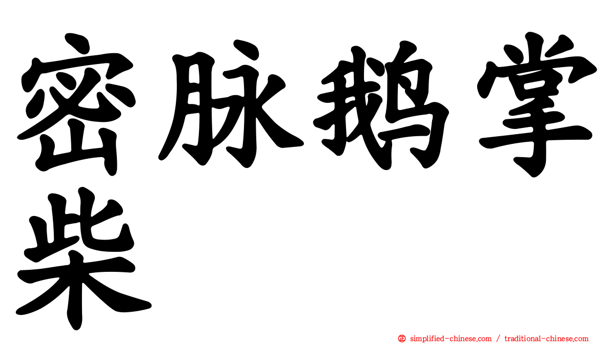 密脉鹅掌柴